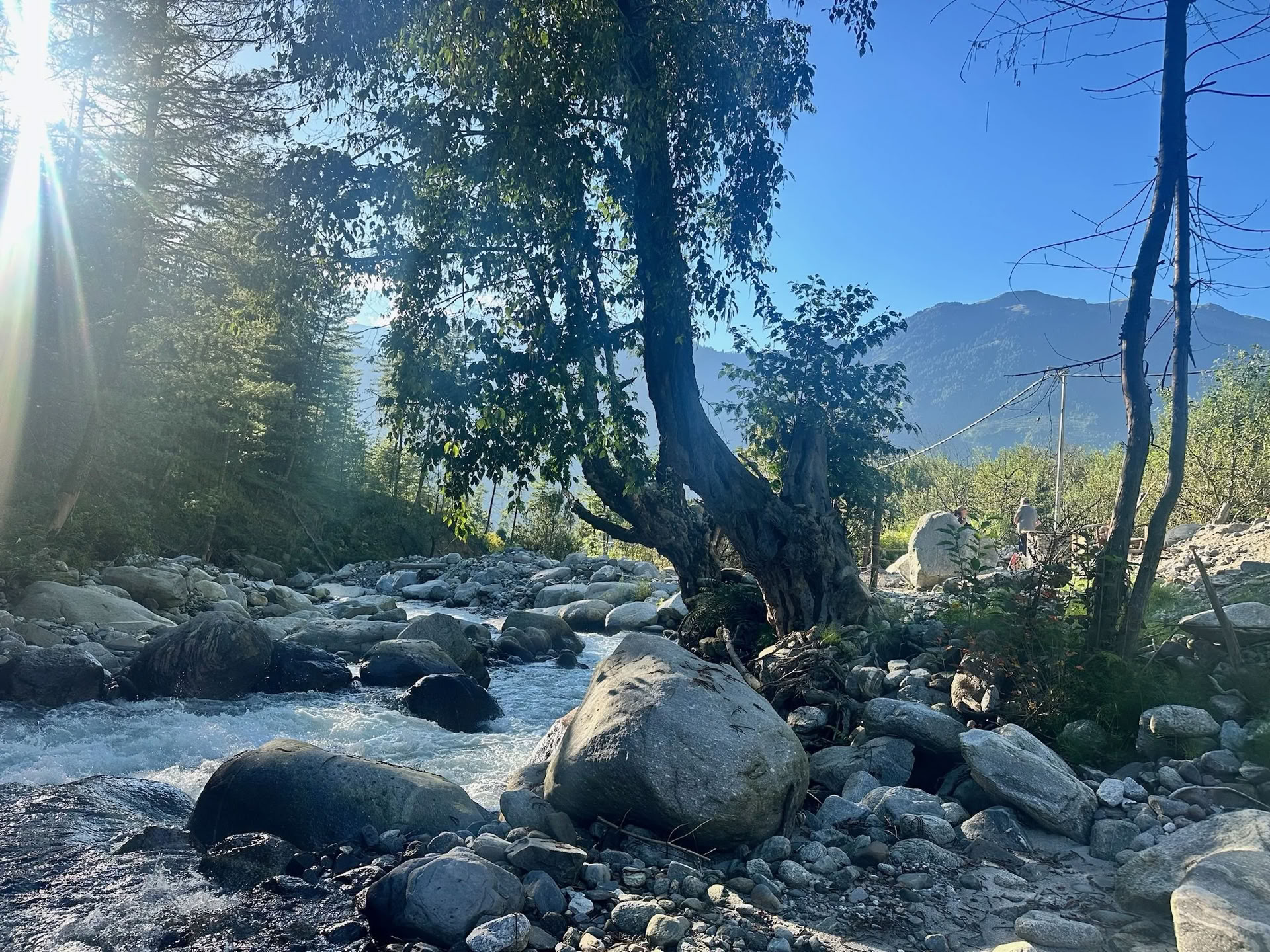 Himalayas Wellness Retreat
