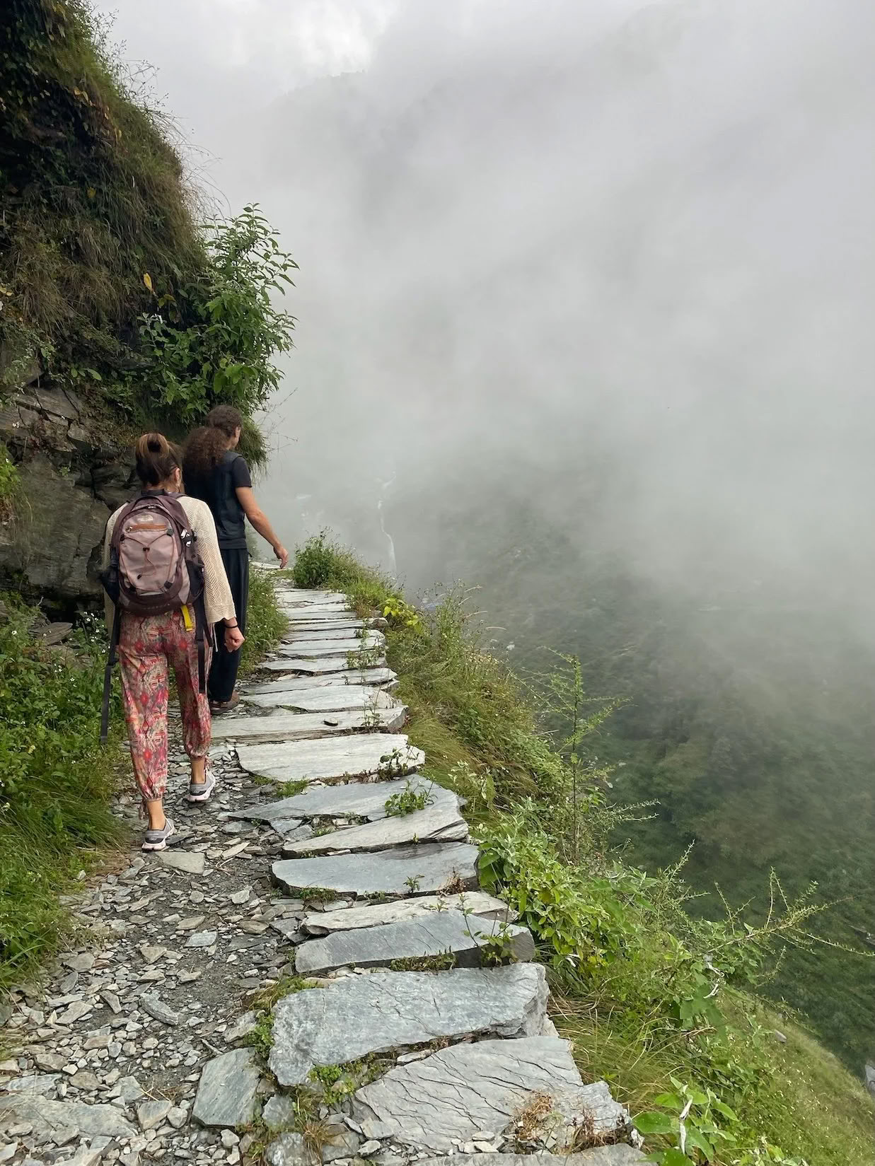 Himalayas Wellness Retreat