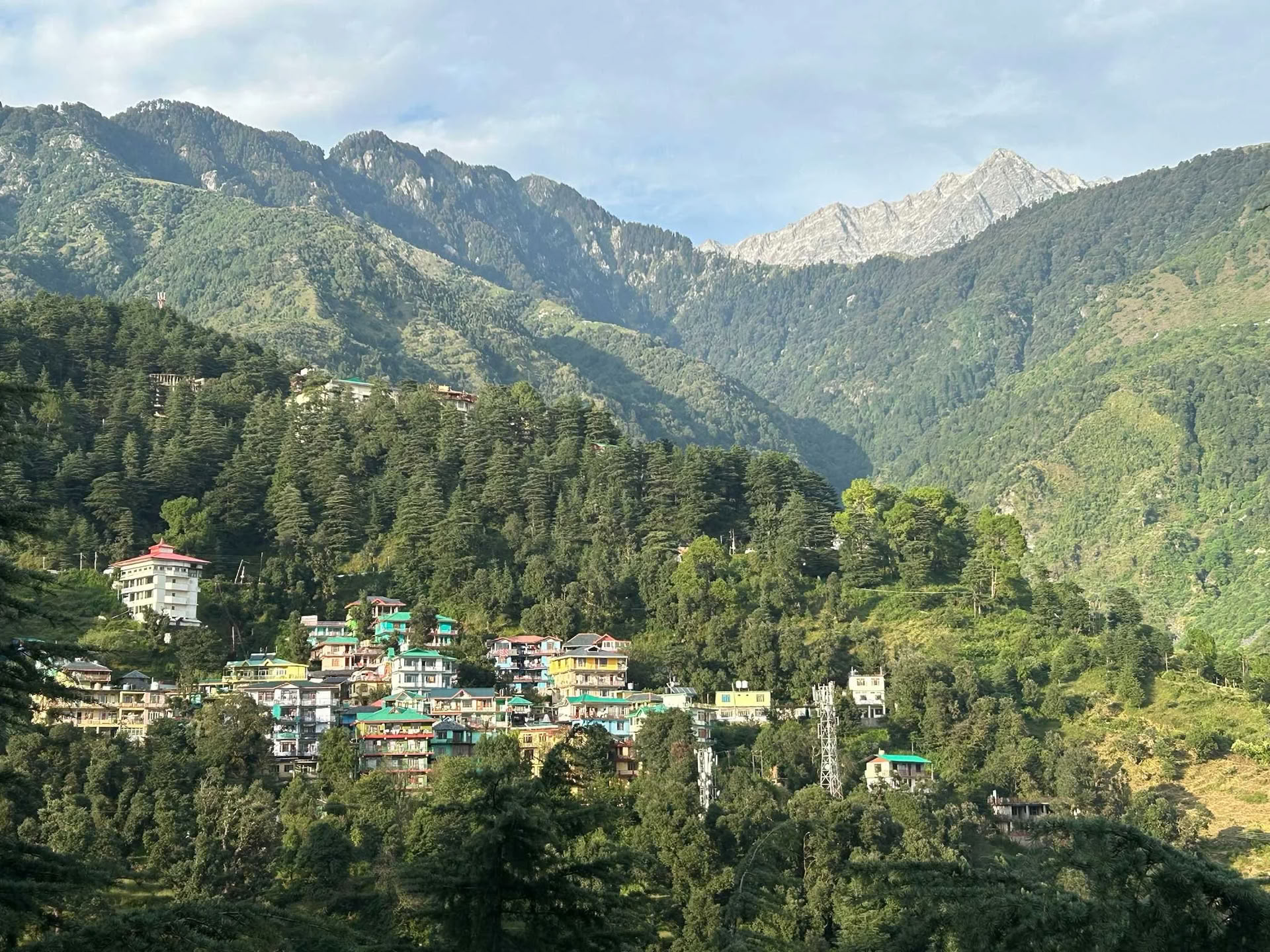 Himalayas Wellness Retreat