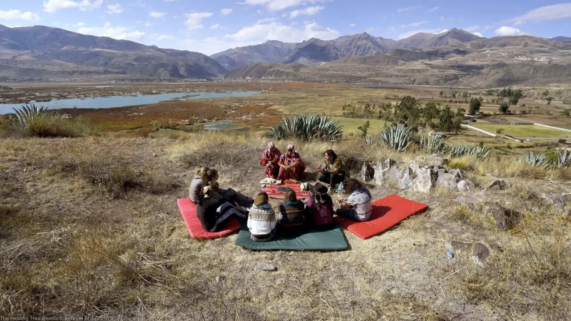 Full-Day San Pedro Retreat in Peru: Sacred Ceremony & Earth Connection