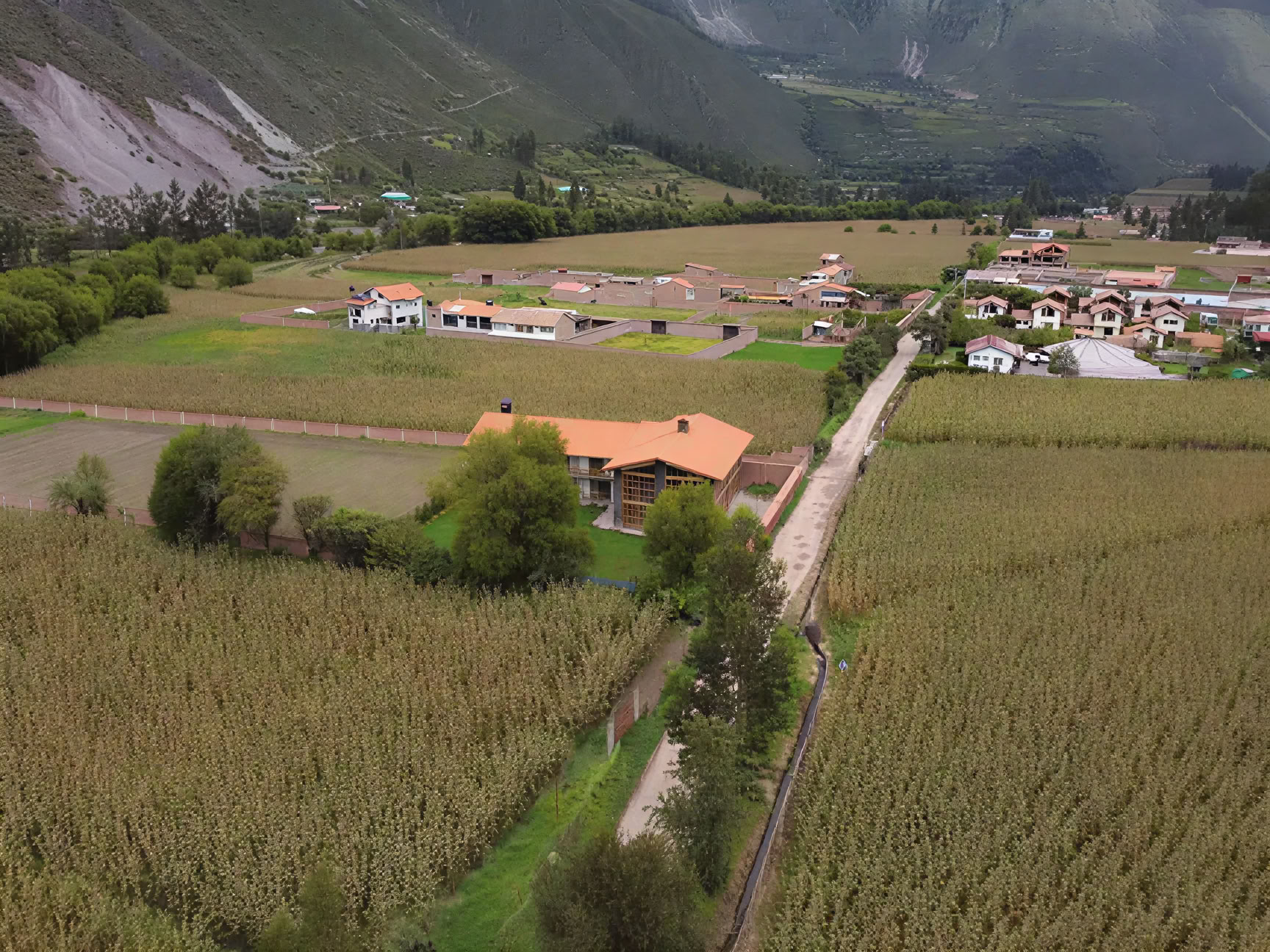 Full-Day San Pedro Retreat in Peru: Sacred Ceremony & Earth Connection