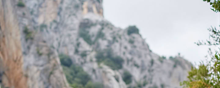 Beginning Anew : Yoga, Mindfulness, Art & Nature Retreat