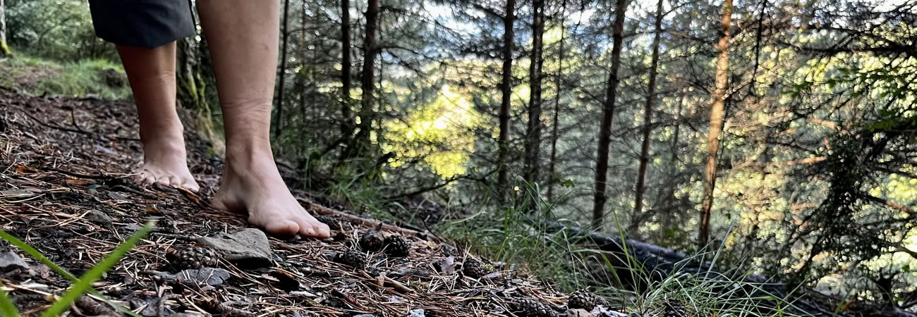 The Peace in the Wild: Yoga, Art & Nature Retreat