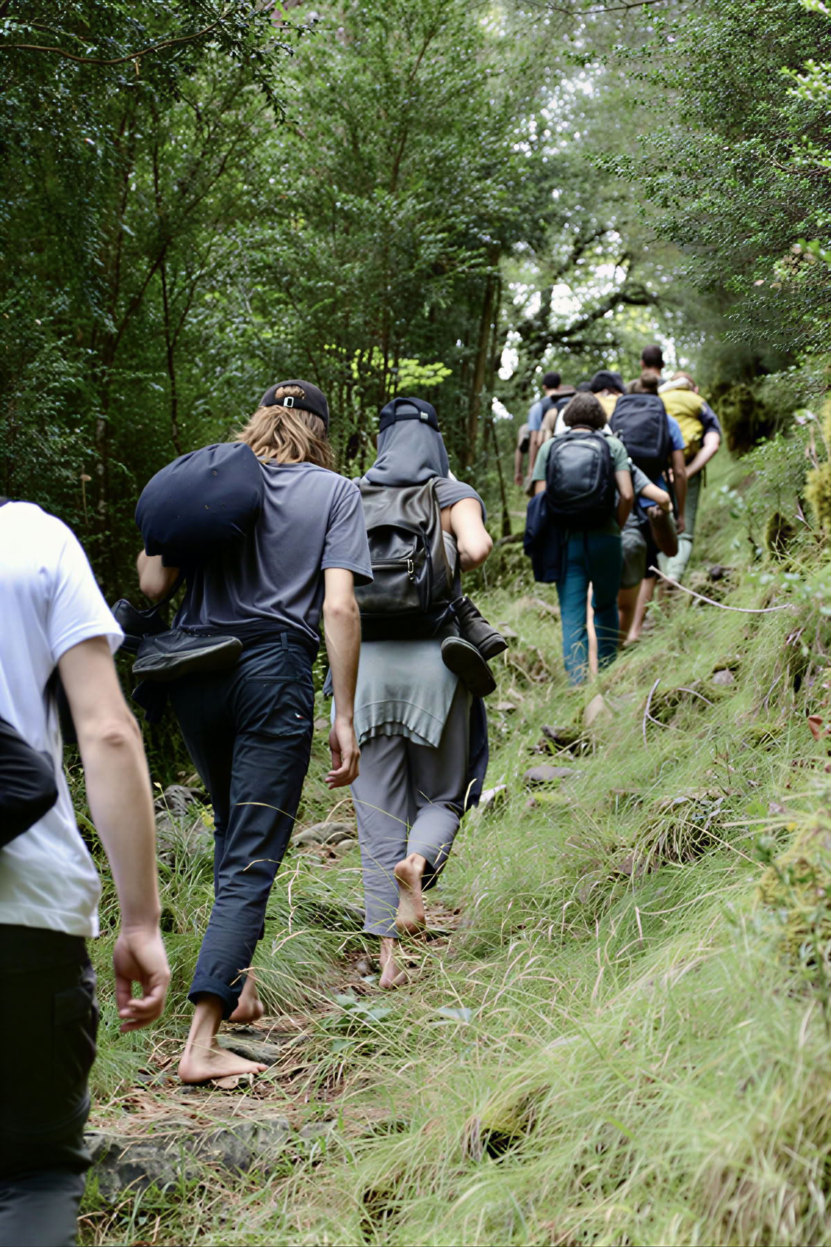 The Peace in the Wild: Yoga, Art & Nature Retreat