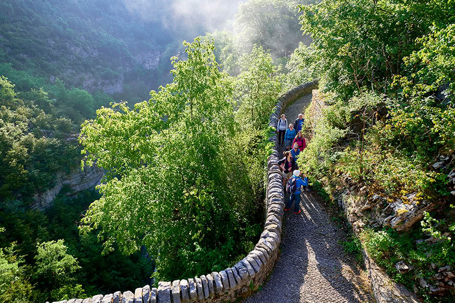 Reverence for life: Yoga, Mindfulness & Hiking Retreat