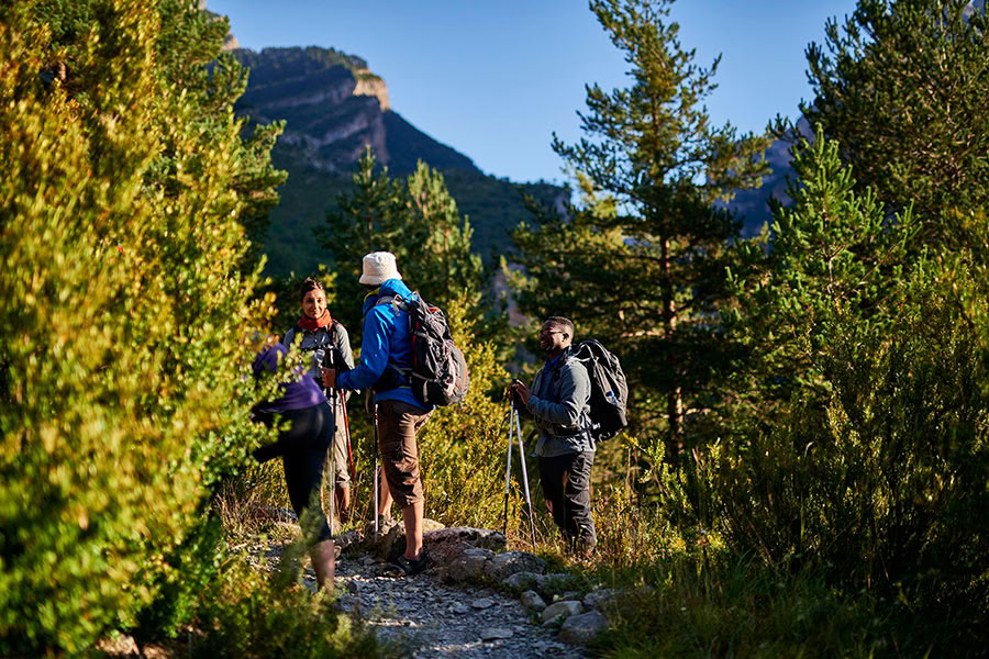 Reverence for life: Yoga, Mindfulness & Hiking Retreat