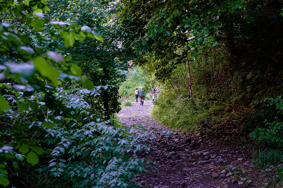Reverence for life: Yoga, Mindfulness & Hiking Retreat