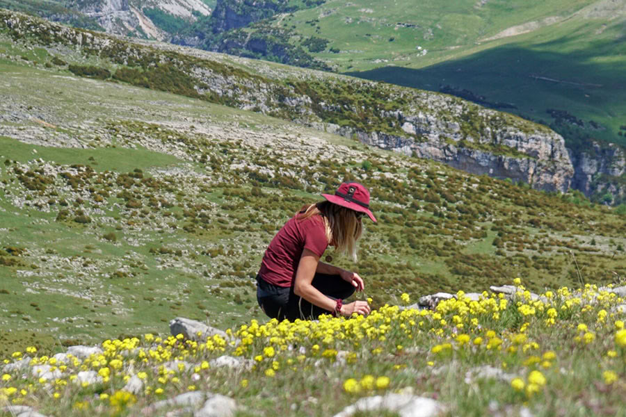Reverence for life: Yoga, Mindfulness & Hiking Retreat