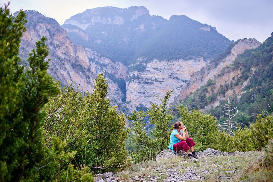 Reverence for life: Yoga, Mindfulness & Hiking Retreat