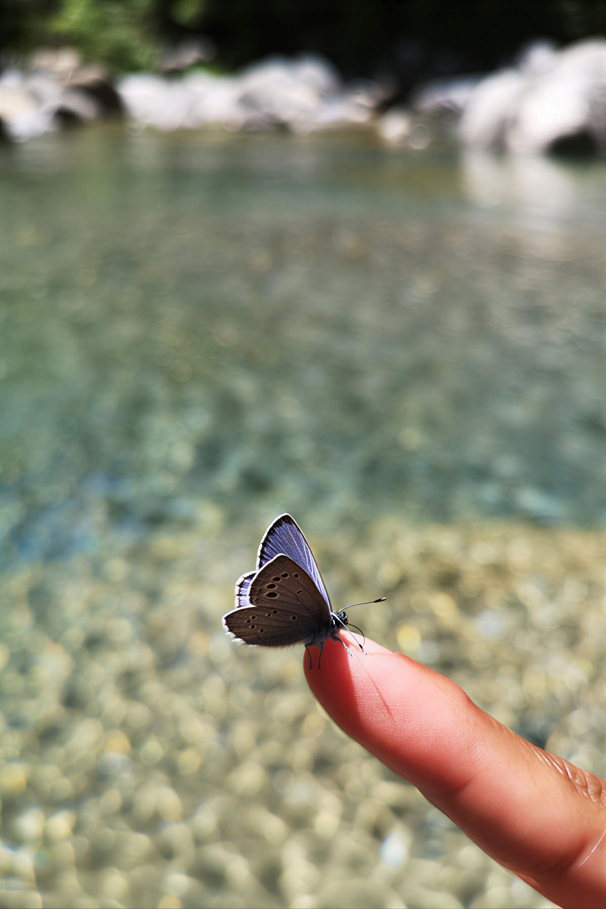 Reverence for life: Yoga, Mindfulness & Hiking Retreat