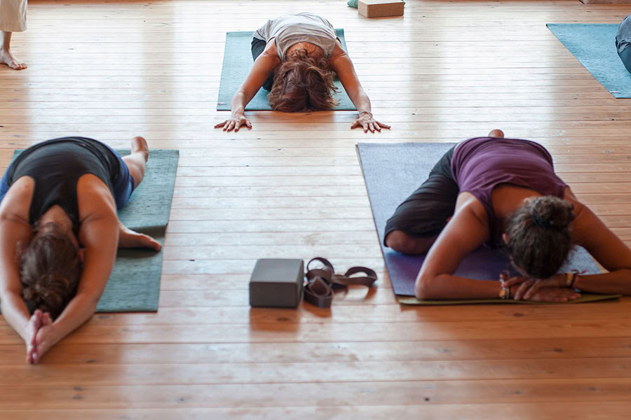 Reverence for life: Yoga, Mindfulness & Hiking Retreat