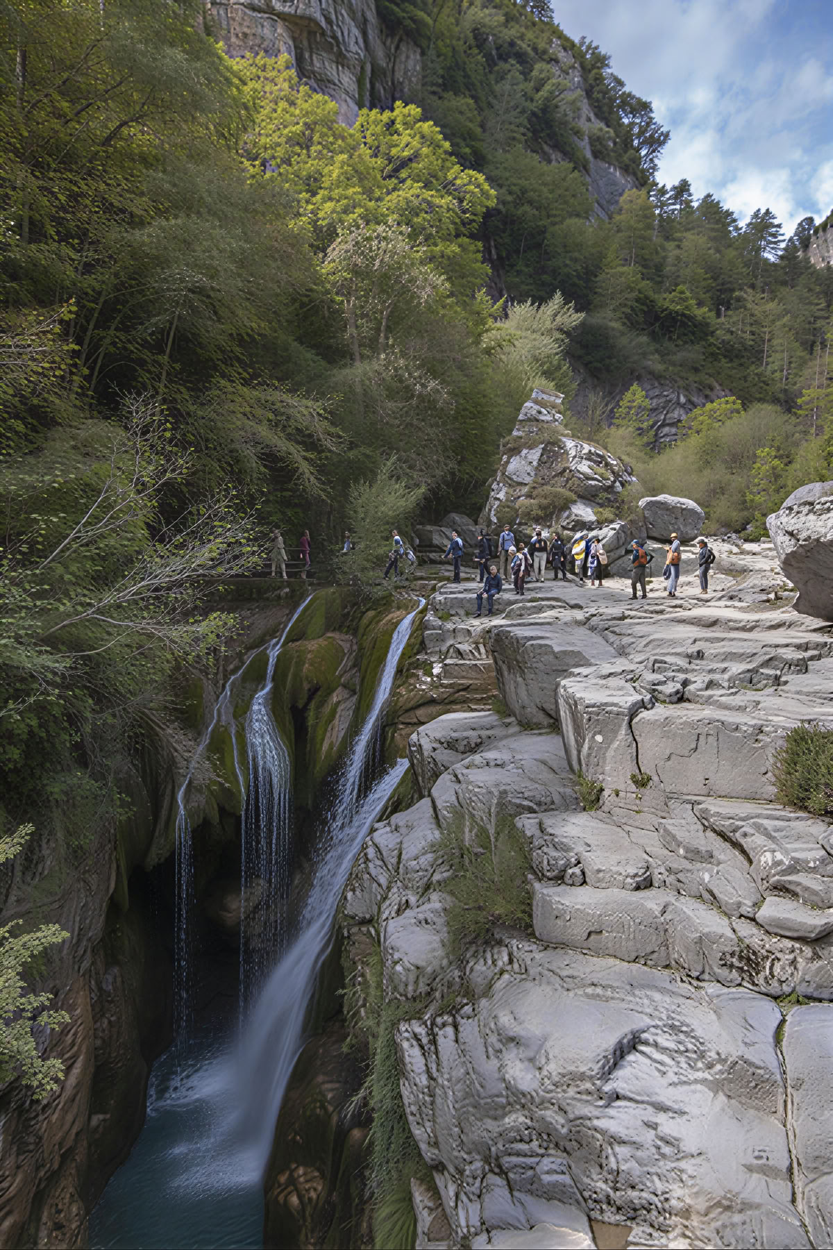 Zen & Tea Retreat with Wu De