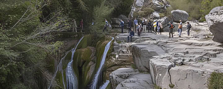 Zen & Tea Retreat with Wu De