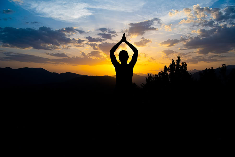 Forest Bathing: Yoga, Art & Nature Retreat