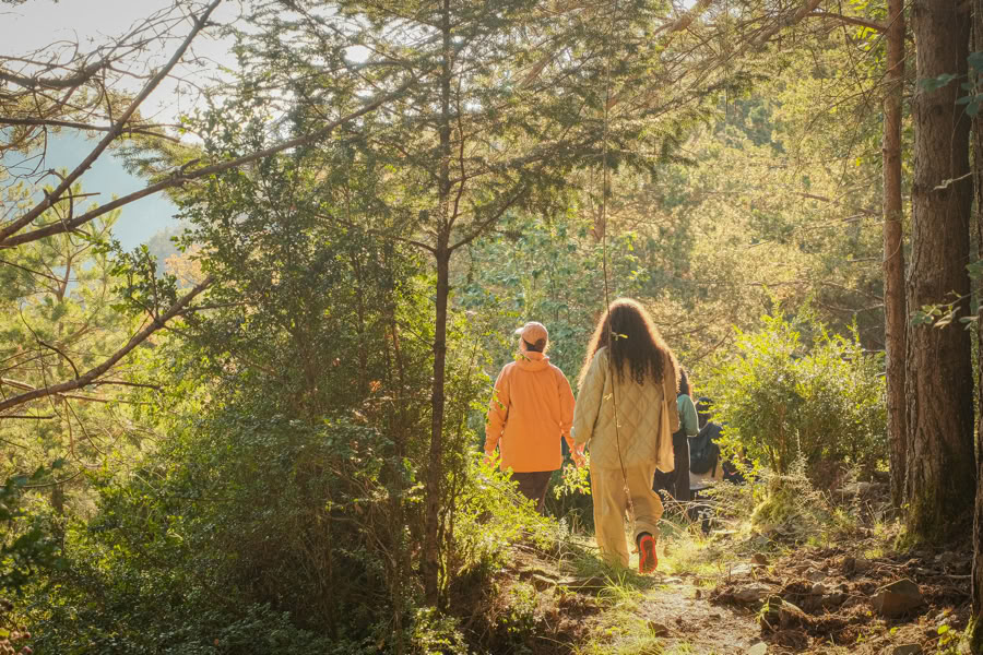 Forest Bathing: Yoga, Art & Nature Retreat