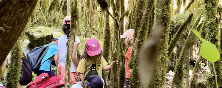 Family Holidays: Yoga, Mindfulness, Art & Nature