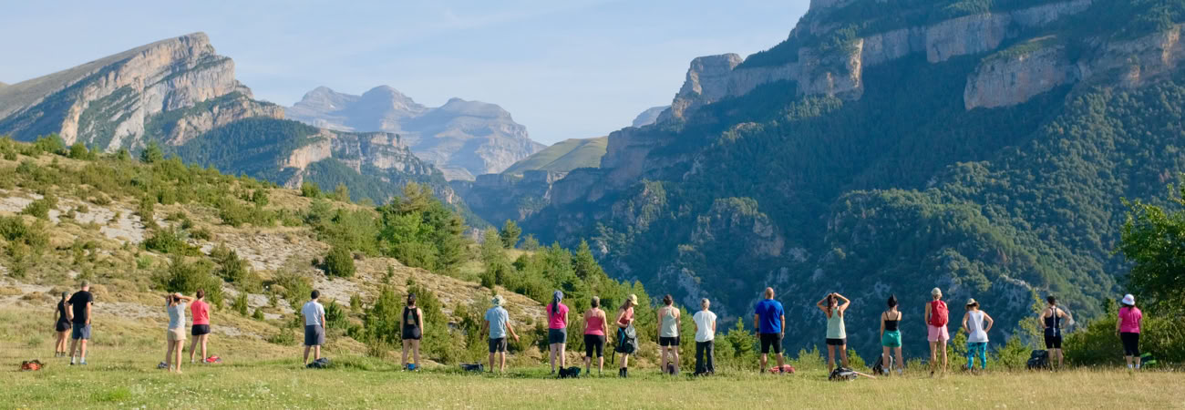 Summer Solstice Whole Yoga Life