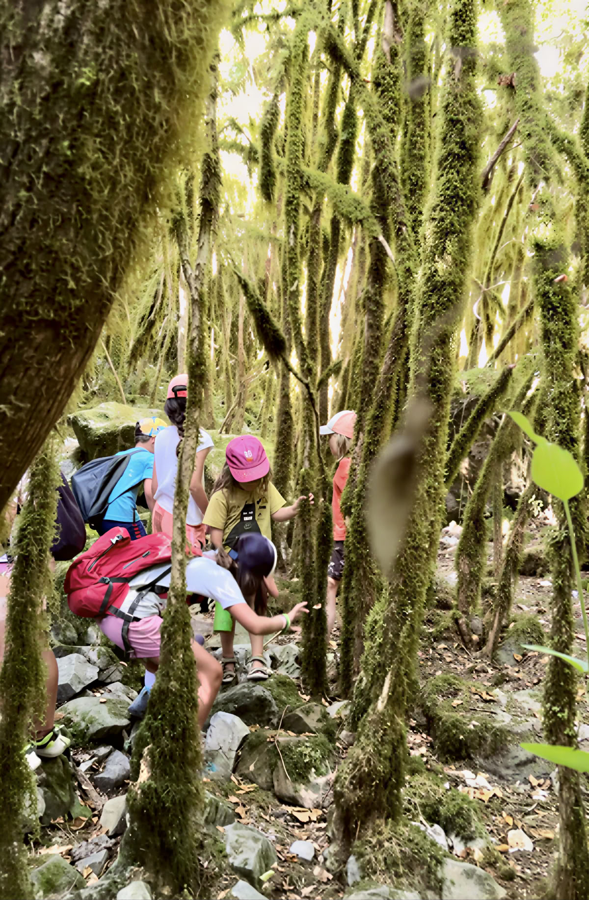 Yoga Chanting & Nature Retreat