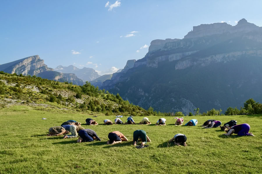Whole Life Yoga - Immersive Retreat with James Boag & Dani Benito