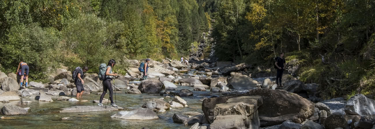 Reverence for life: Yoga, Art & Nature Retreat