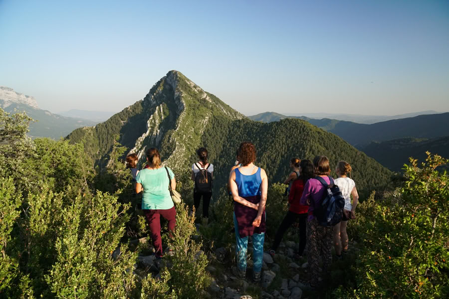 Reverence for life: Yoga, Art & Nature Retreat