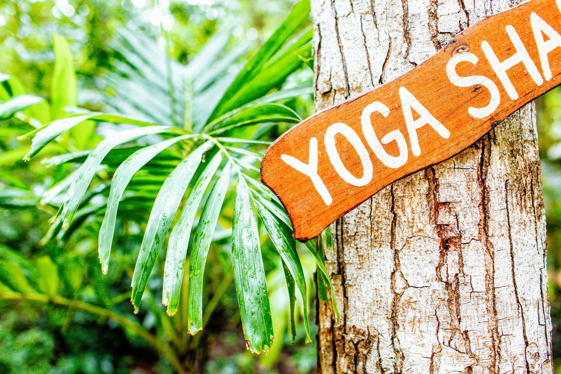 Ashtanga Yoga Immersion Retreat