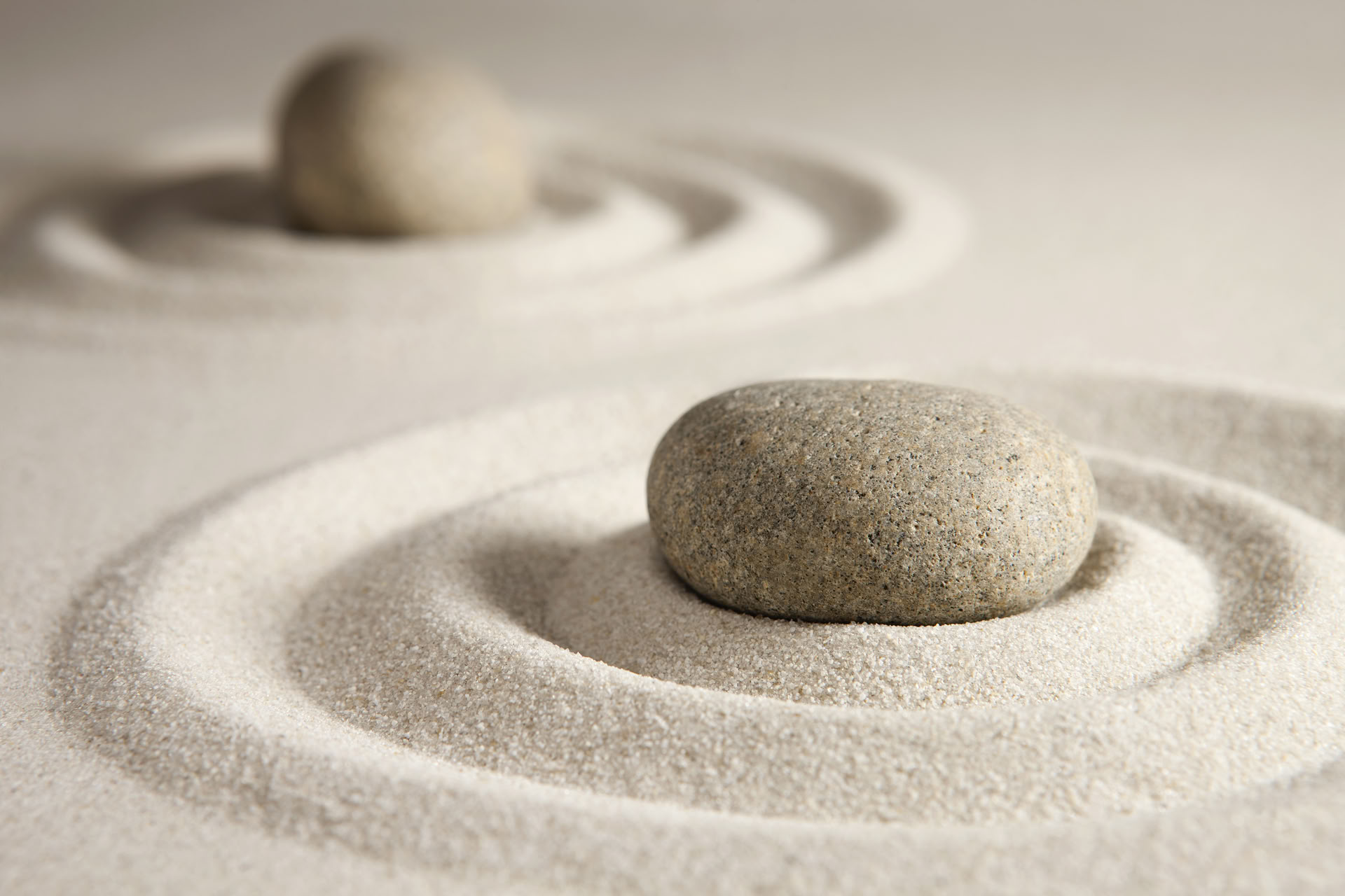 Guided Meditation Sessions