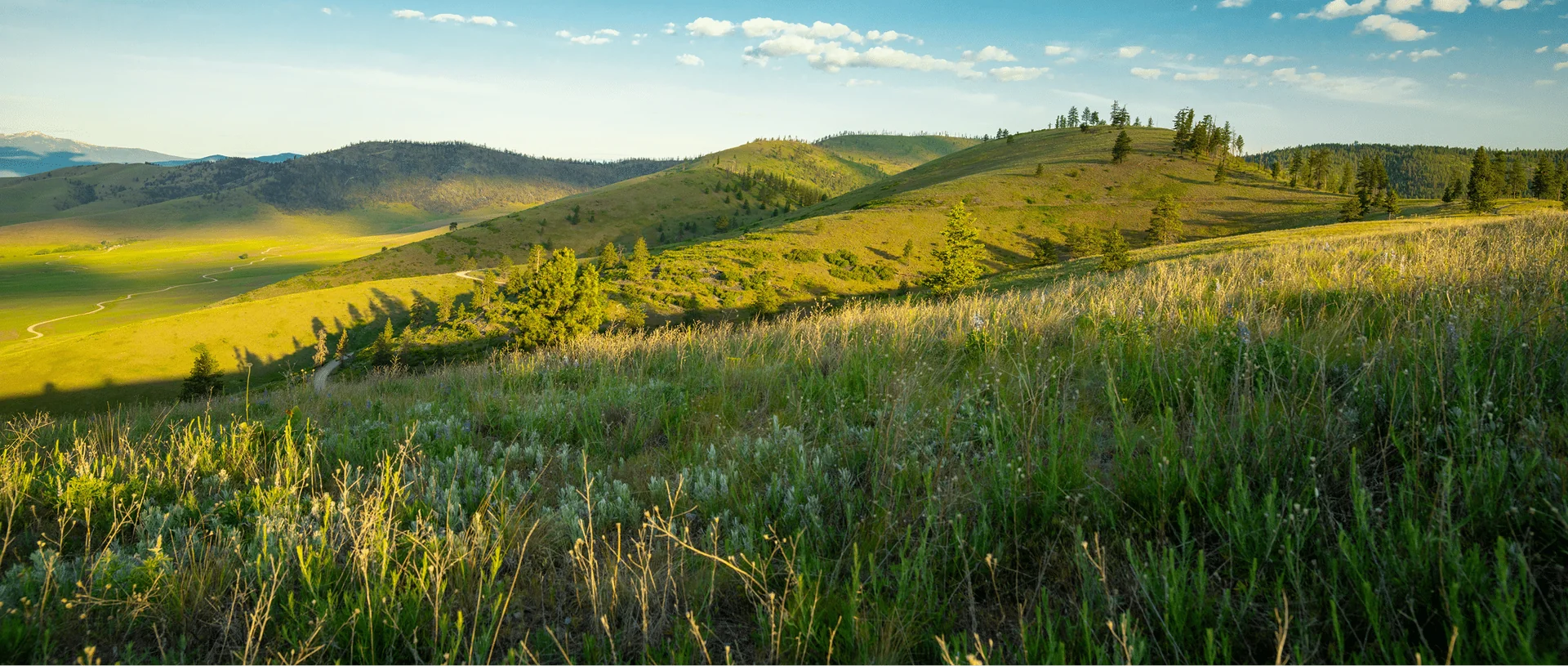 Green Tara Retreat