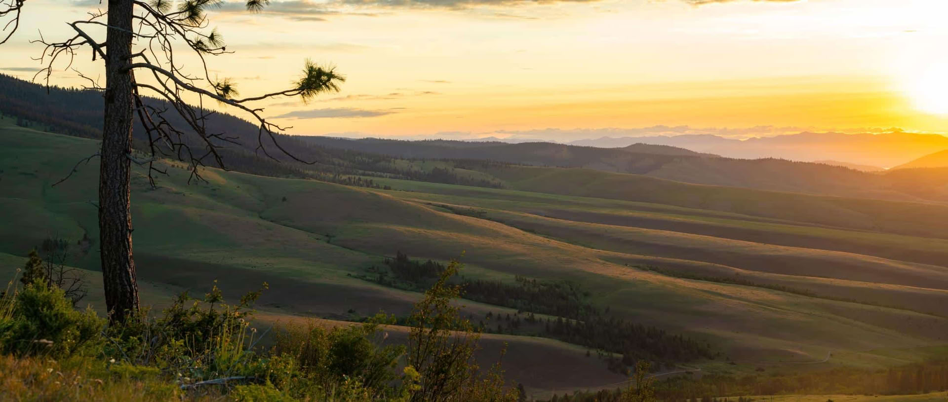 Finding Comfort & Ease: Tibetan Yoga & Meditation Retreat