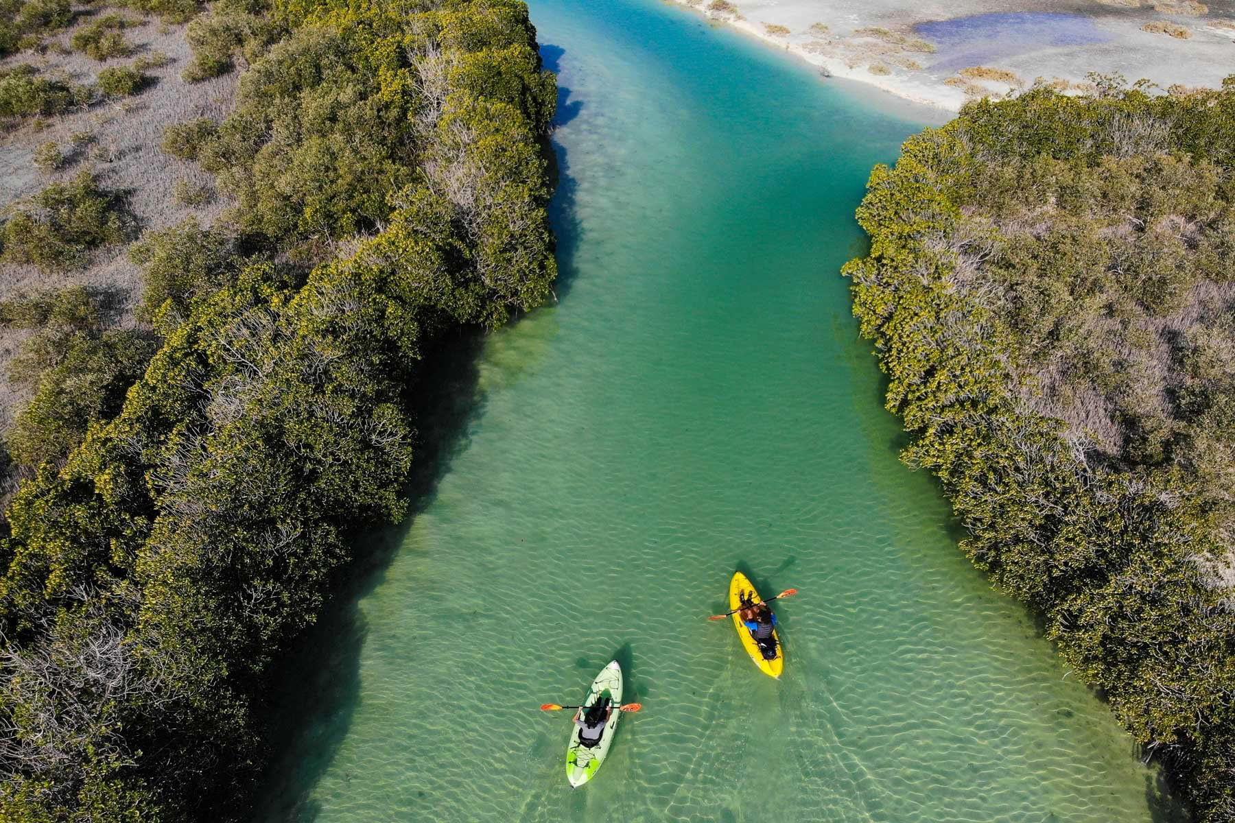 Saudi Detox Health Retreat
