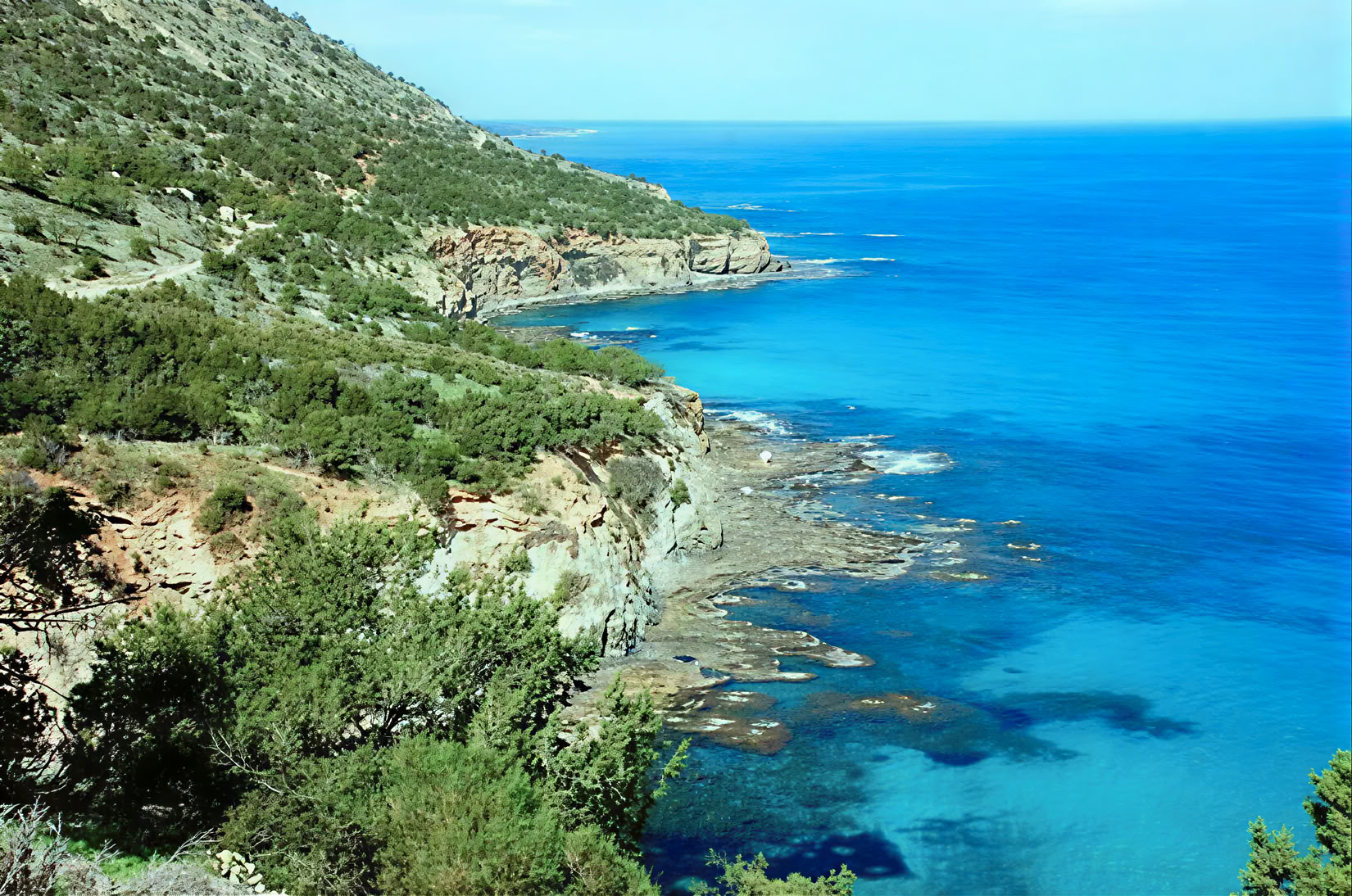 Saudi Detox Health Retreat