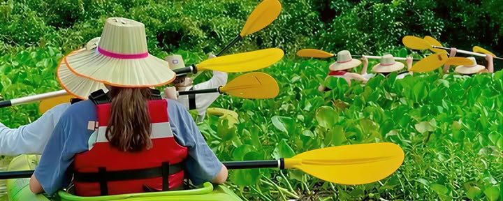 Cambodia -Temples, Cycling, Waterfalls, Hiking and Kayaking Adventure — DBC Health Retreats Europe Retreats 2024