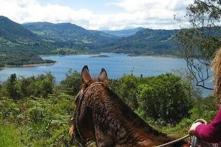 Wellness Retreat Colombia
