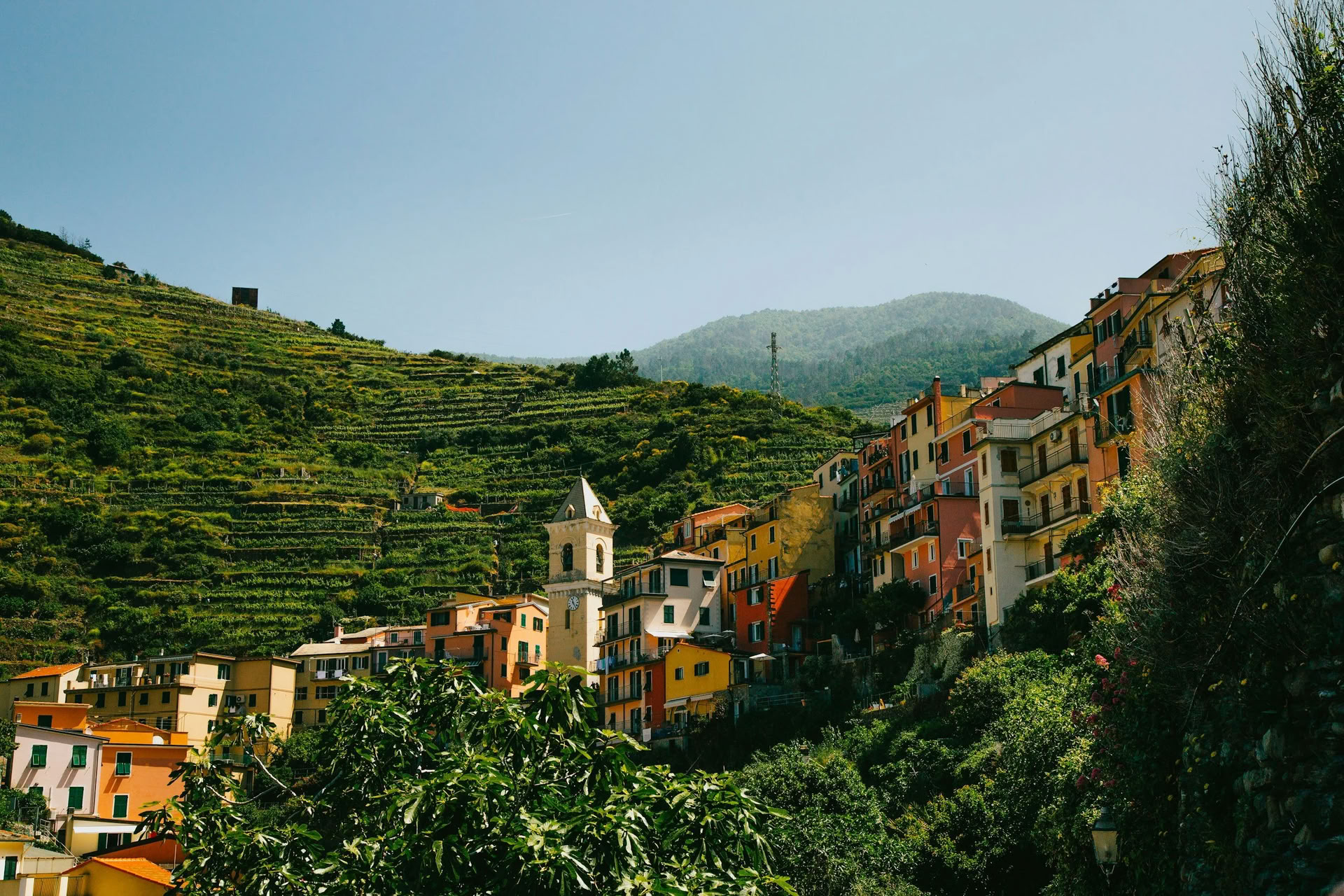 6-Day Shaktipāt and Meditation Retreat with Lina Leimonte, September 6-12th, 2026, at Olea Retreat, Italy