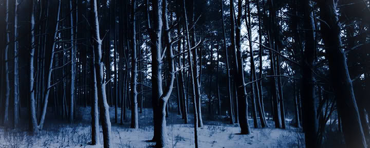 Individual yoga classes in Vilnius