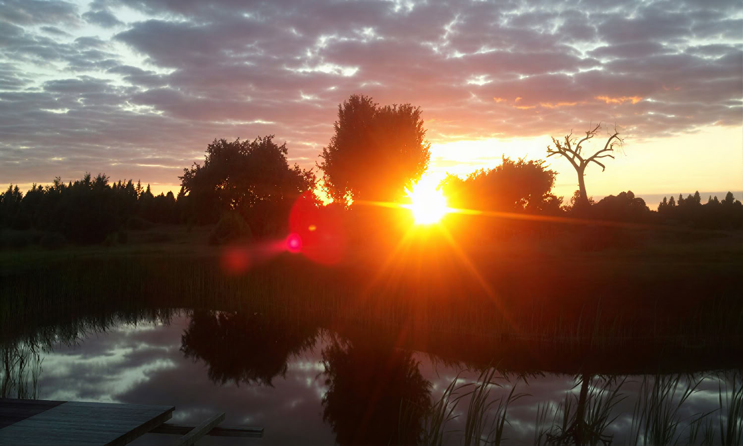 Individual Retreat in Nature