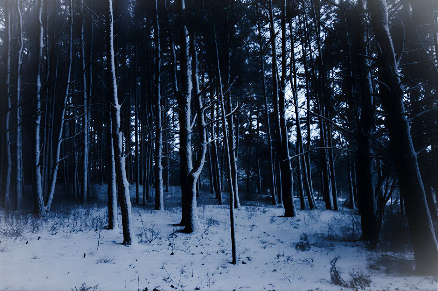 Individual Retreat in Nature