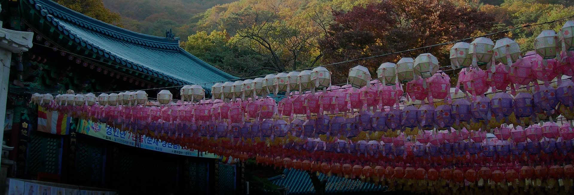 Shinrin-Yoku