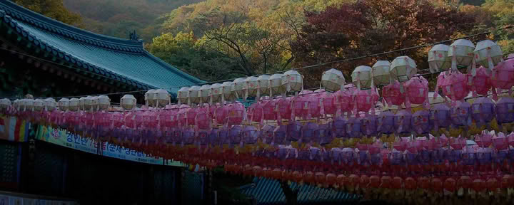 Shinrin-Yoku