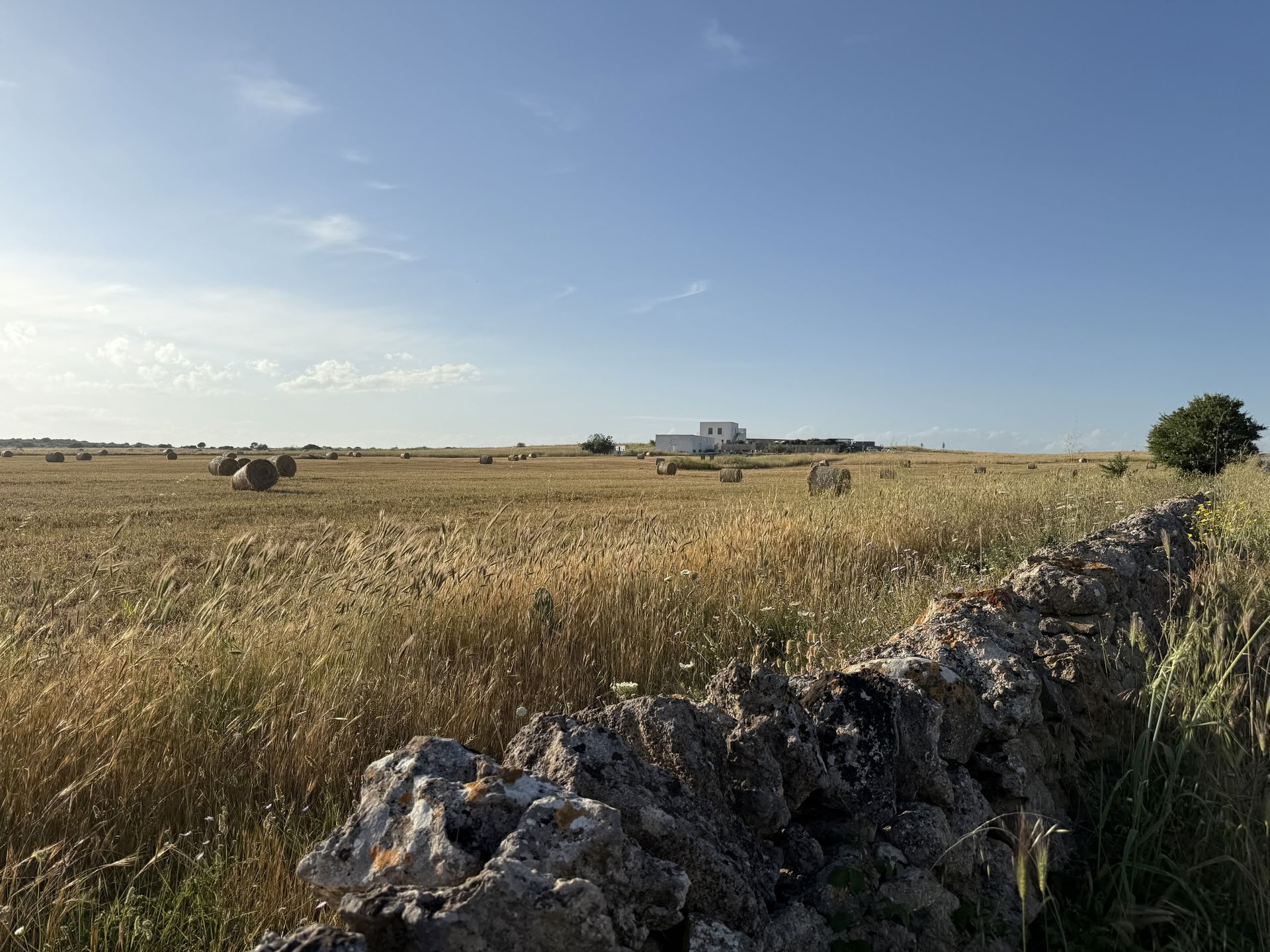 Conversations with Place: A Creative Residency at Masseria Specula