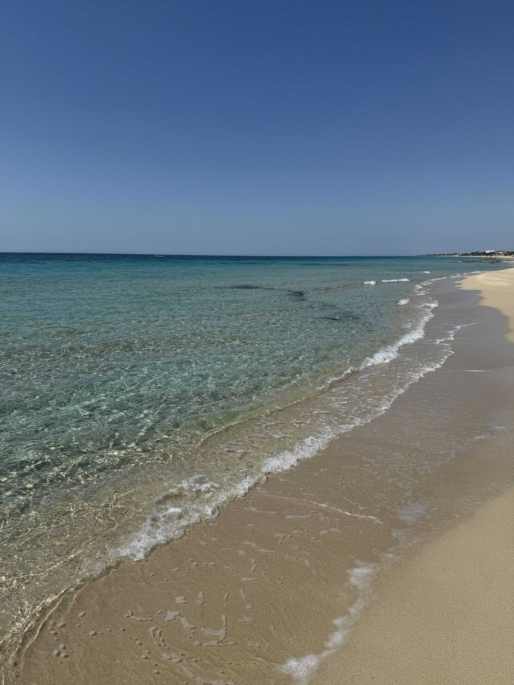 Conversations with Place: A Creative Residency at Masseria Specula