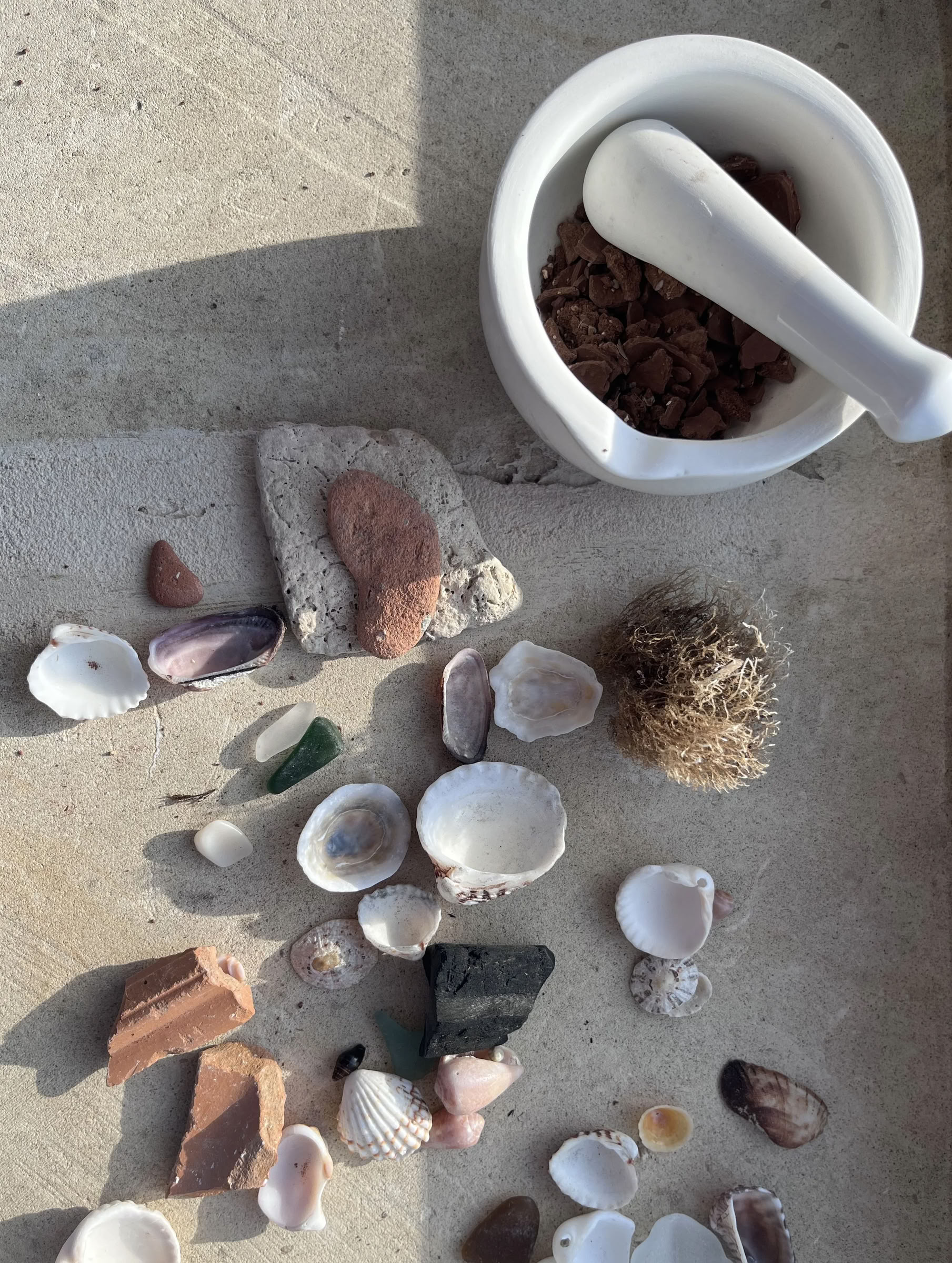 Visual Storytelling with Wild Pigments
