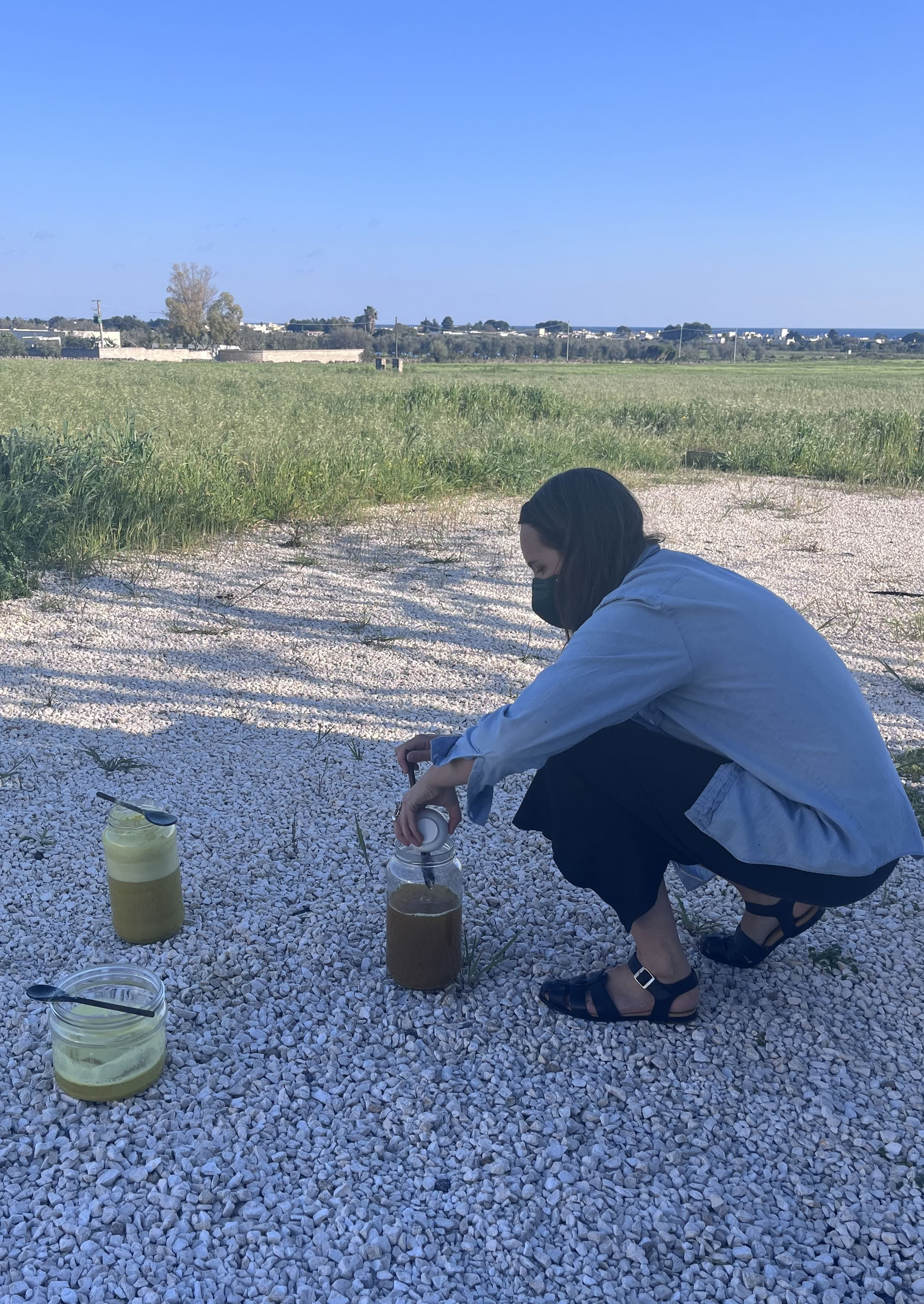 Visual Storytelling with Wild Pigments
