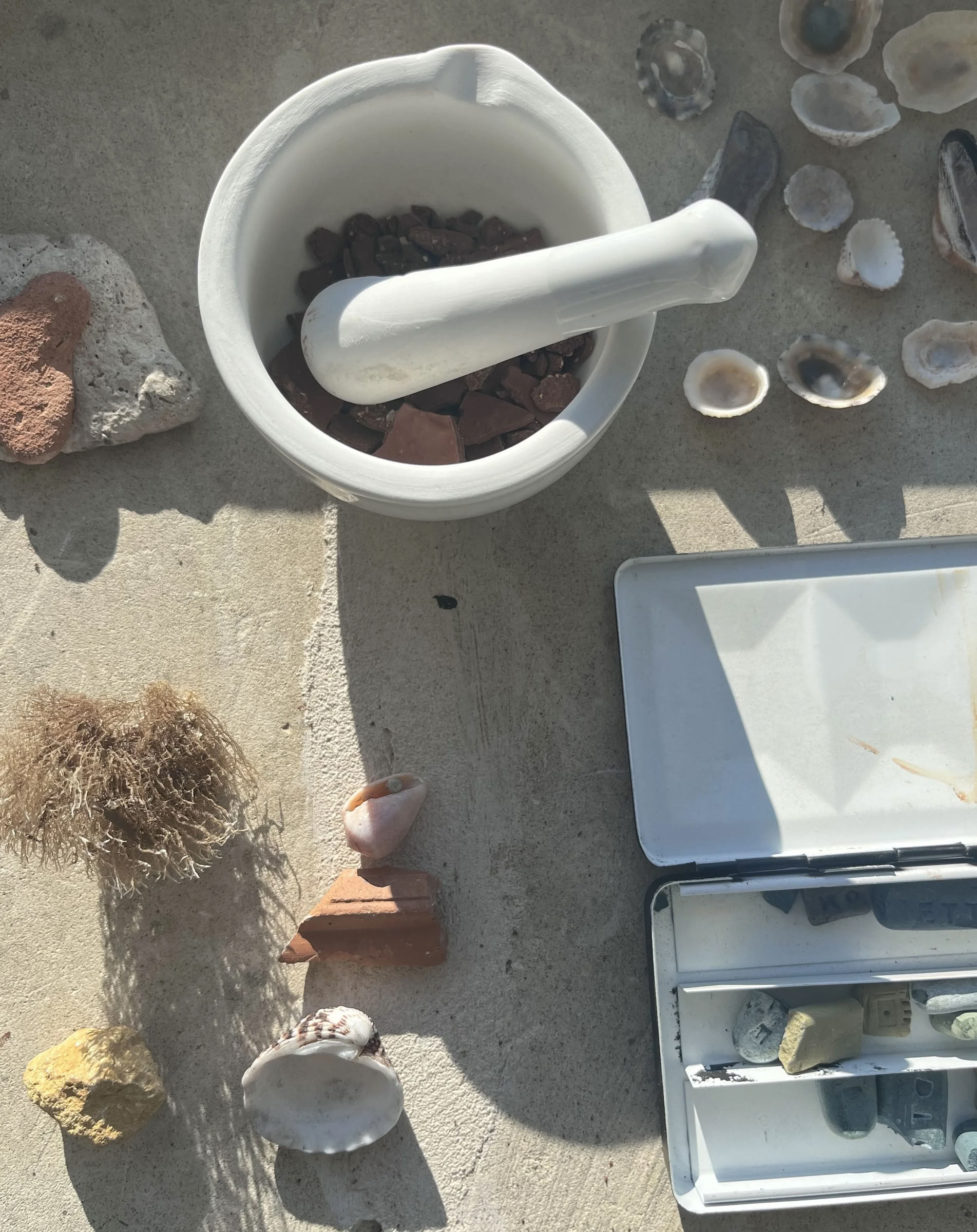 Visual Storytelling with Wild Pigments