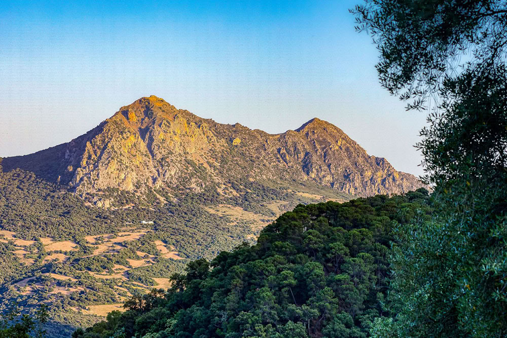 Root to Rise Yoga and Life Coaching Retreat