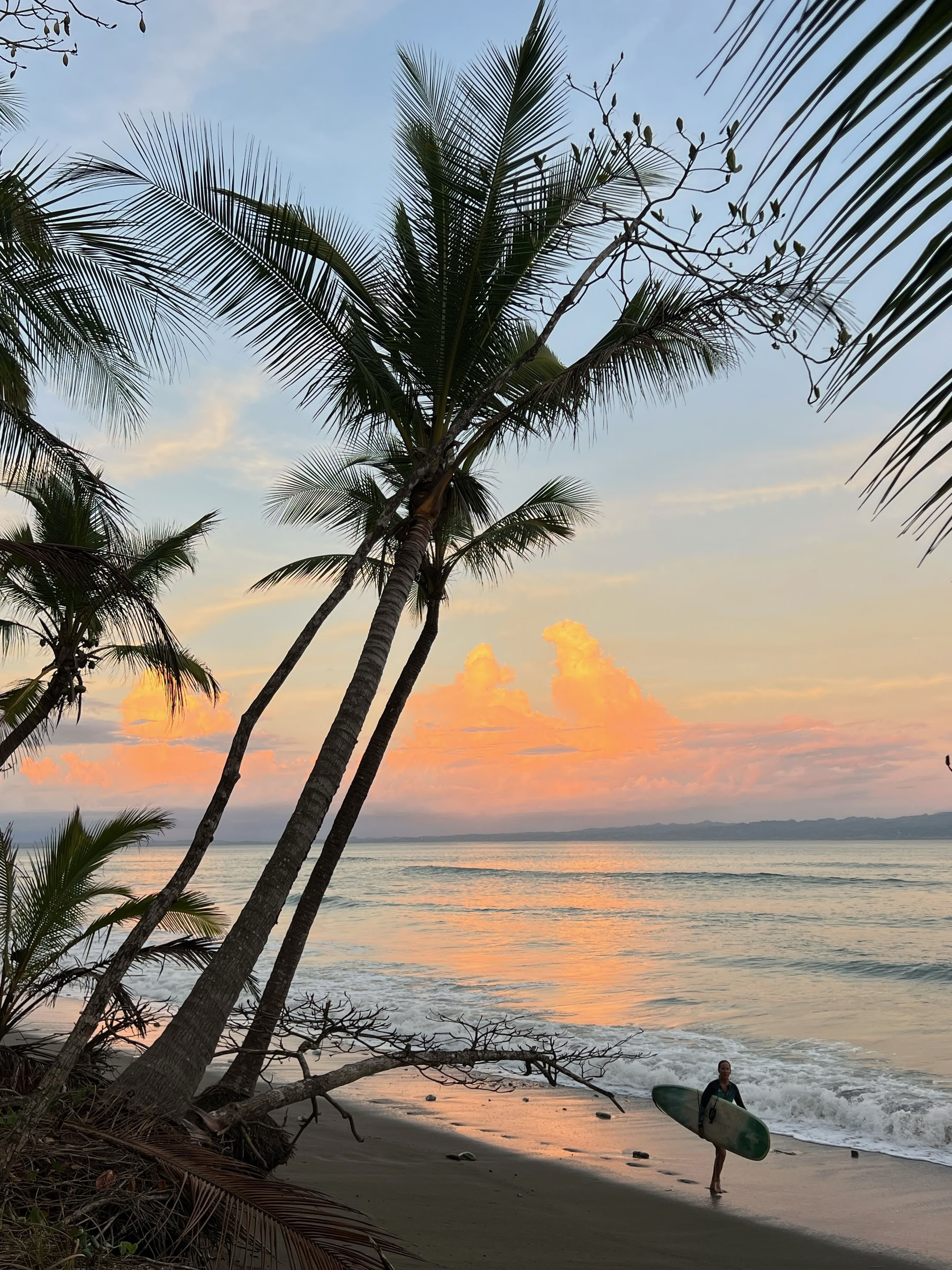 Yoga & Surf on the Osa Peninsula, March 13-20, 2027 — ASHTANGA MONTAUK