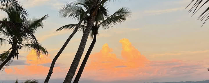 Yoga & Surf on the Osa Peninsula, March 13-20, 2027 — ASHTANGA MONTAUK