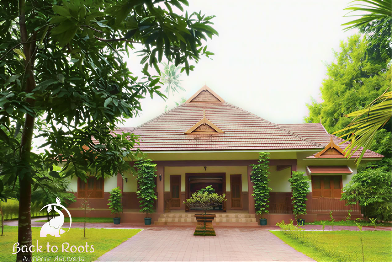 14-Night Detox at Back to Roots Ayurveda