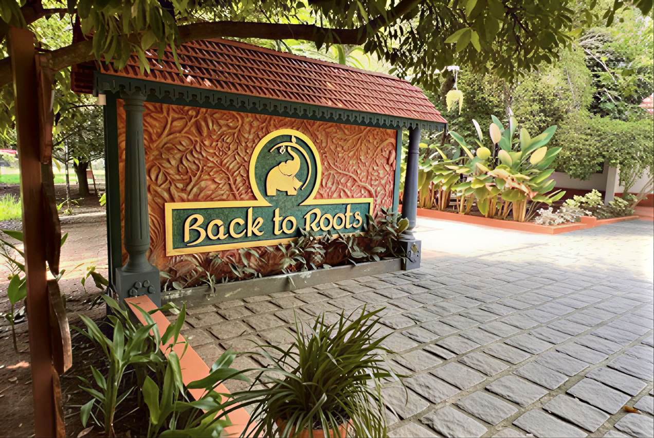 14-Night Detox at Back to Roots Ayurveda