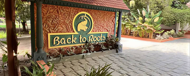 14-Night Detox at Back to Roots Ayurveda
